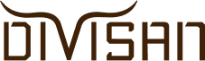 logo divisan